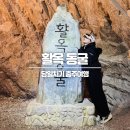 (주)일신동양활석 | 충주 활옥동굴 카약, 입장료 할인 당일치기 여행 후기