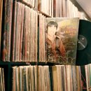 쎄시봉 추억의 음악여행 이미지