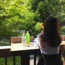 배산동물병원 | [부산커피맛집] 가배향화(망미/용당) + 엄용백돼지국밥