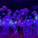 상상홀릭 | 제주 애월 실내여행지 추천!가족이랑 다녀온 제주홀릭뮤지엄 솔직후기