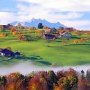 언제나 내곁에 이미지