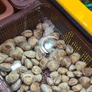 정동로 이미지