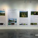 내추럴사운드 B 이미지