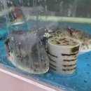 흥복식당 이미지