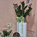 [철산역 전자담배] 북니스 베이프 매장 오픈 후기!!