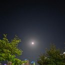 미사8단지정육점