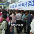 강원도 횡성군 횡성읍 한우로 이미지