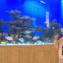 [상하이 여행] 래디슨 블루 상하이 뉴 월드 2박3일 후기 (난징동루 숙소)