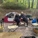 비채야영장 이미지