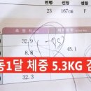오오다이어트 이미지