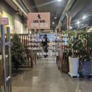 간촌1 | [장한평/군자 고기집] 서울간촌닭에서 토종닭 숯불구이 먹은 솔직 후기