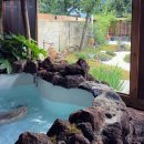 베지아웃 이미지