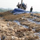 청주흥덕지구축구공원 이미지