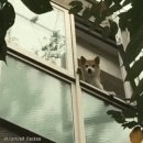 다겸이가구
