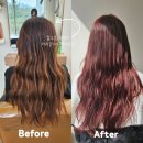 살롱 누보(salon nouvo) | 노원역미용실 염색, 살롱누보에서 인생컬러 찾았어요