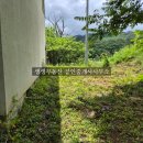 산뒤천 네이버블로그