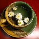 여름의원 이미지