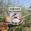 애플리라탄 | 농촌 감성체험 사과 과수원 사과꽃 피크닉 라탄바구니 주말 꽃여행 꽃체험 여주가볼만한곳 애플리스토리