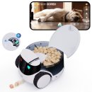 지리산 산업동물병원 | “한국보다 6배 큰 시장… 고양이가 돈이된다? 중국 반려동물 산업 50조 규모 분석”