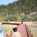 호현1길 이미지