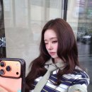 프리지아