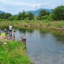 주식회사 정상 이미지