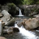 산야초산장 이미지