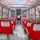 리틀프린스 관광호텔 이미지