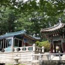 물고기의눈물이호수로 이미지