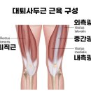 율트리