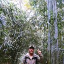 송일식당 이미지