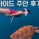 카사보니타 이미지