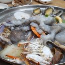 와우낙지 이미지