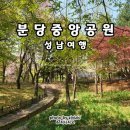 분당-142 이미지