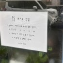 최서윤집밥 이미지