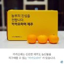 카카오농산물 이미지