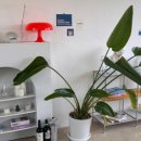 하이하늘민박 이미지