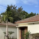 소로3-세천06 | 태교여행(3) 이시가키 4박 5일 ｜2일차 루트 추천(후사키 비치, 우간자키 등대, 스쿠지 비치, 키친 이바...