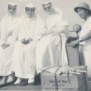 한림목장 이미지