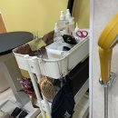 마주봄펫 이미지