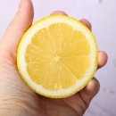 레몬 이미지
