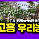 노한도 농장 네이버블로그