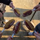 경기도평생교육진흥원 양평지점 | 양평 두물머리 연핫도그 원조 후기 주차부터 산책 코스까지 정리