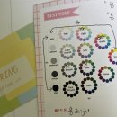 대전 퍼스널컬러진단 “컬러뷰” 후기(광고❌,내돈내산)