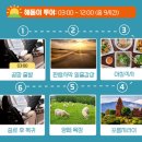 인생여행코스 베나자 해돋이 판랑사막투어 내돈내산 후기 (+ 인천공항 환전 및 깜란공항 대기장소 꿀팁)