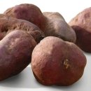 구황작물 이미지