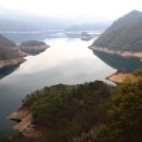 부귀리벗꽃 이미지