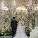 킨소프트 | W14. 끝!! ❤ 소프트보울스냅 본식 후기