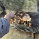 제주도게스트하우스함덕주택