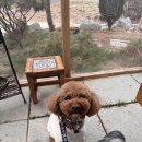 신산1리마을회관 이미지